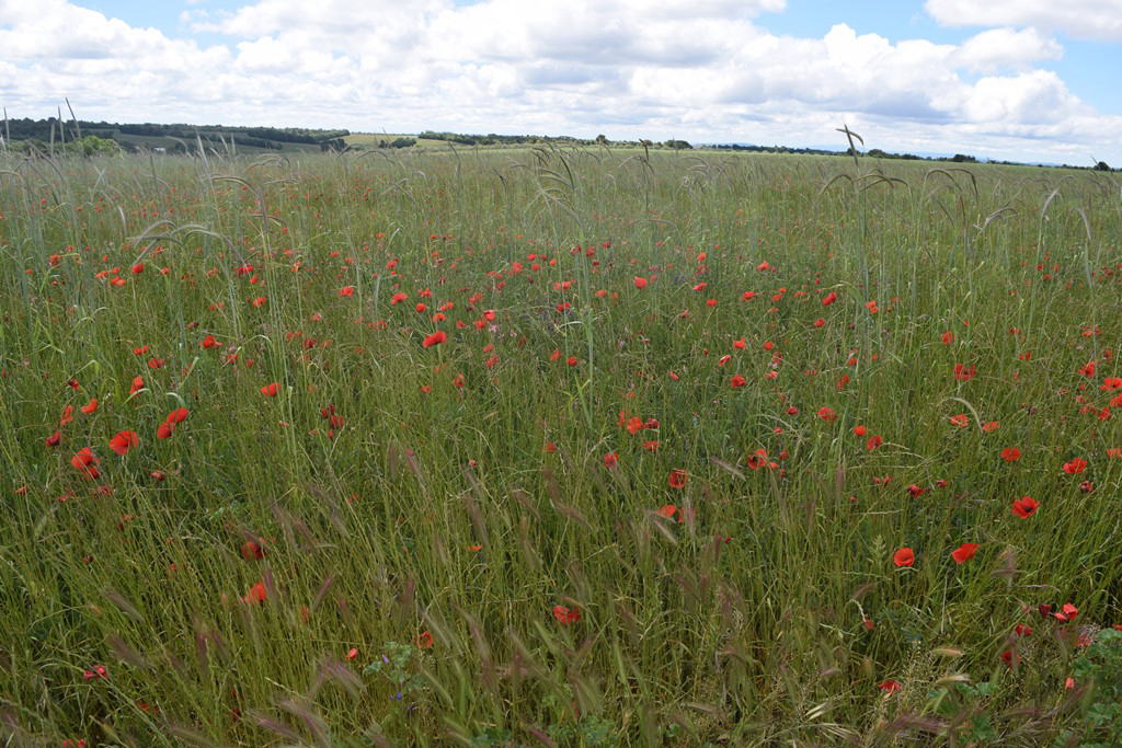 Free HTML5 Bootstrap Template by FREEHTML5.co