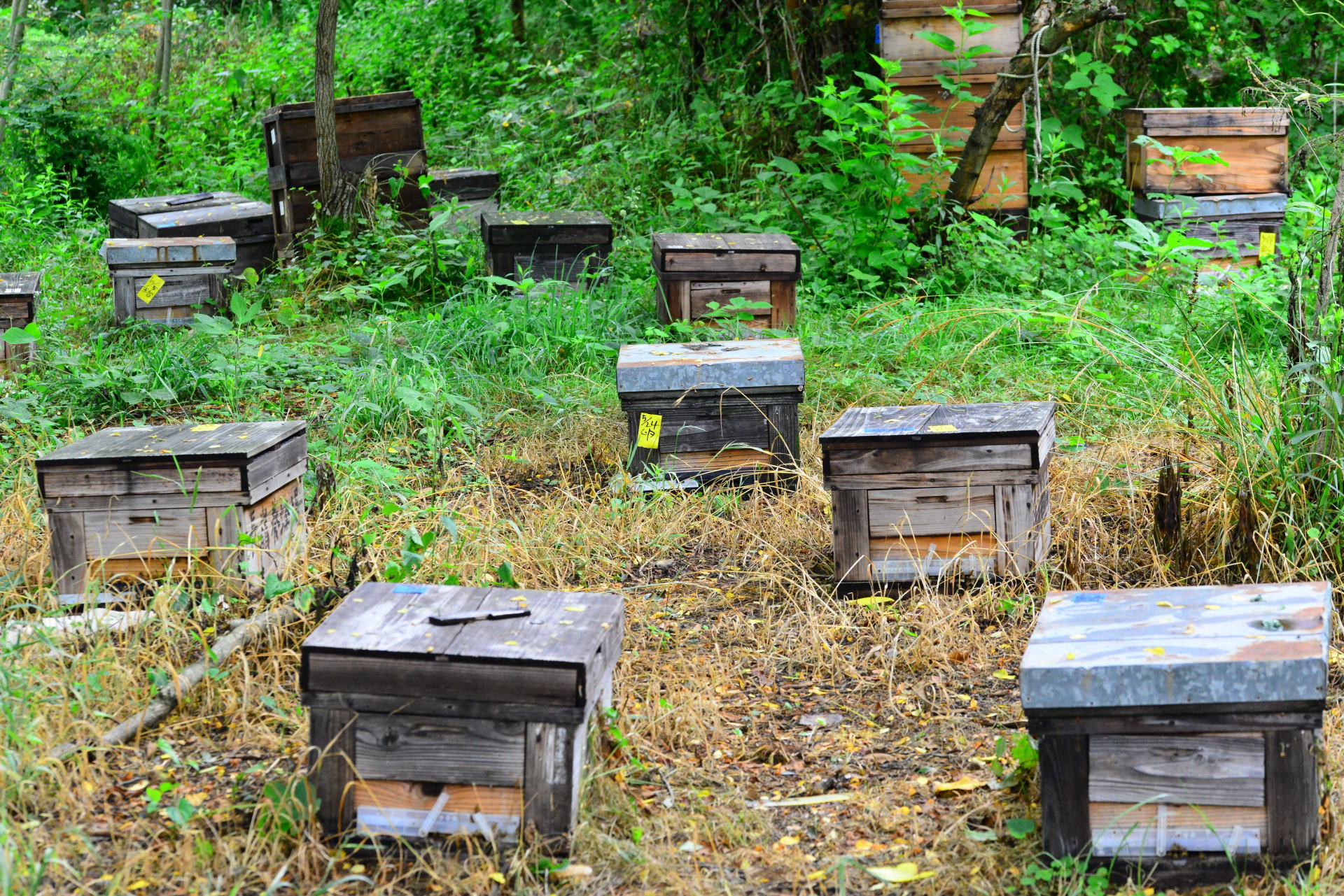 Free HTML5 Bootstrap Template by FREEHTML5.co