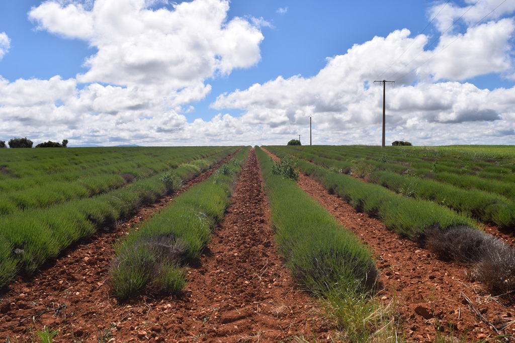 Free HTML5 Bootstrap Template by FREEHTML5.co