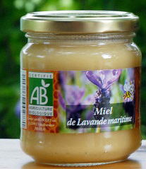 Free HTML5 Bootstrap Template by FREEHTML5.co