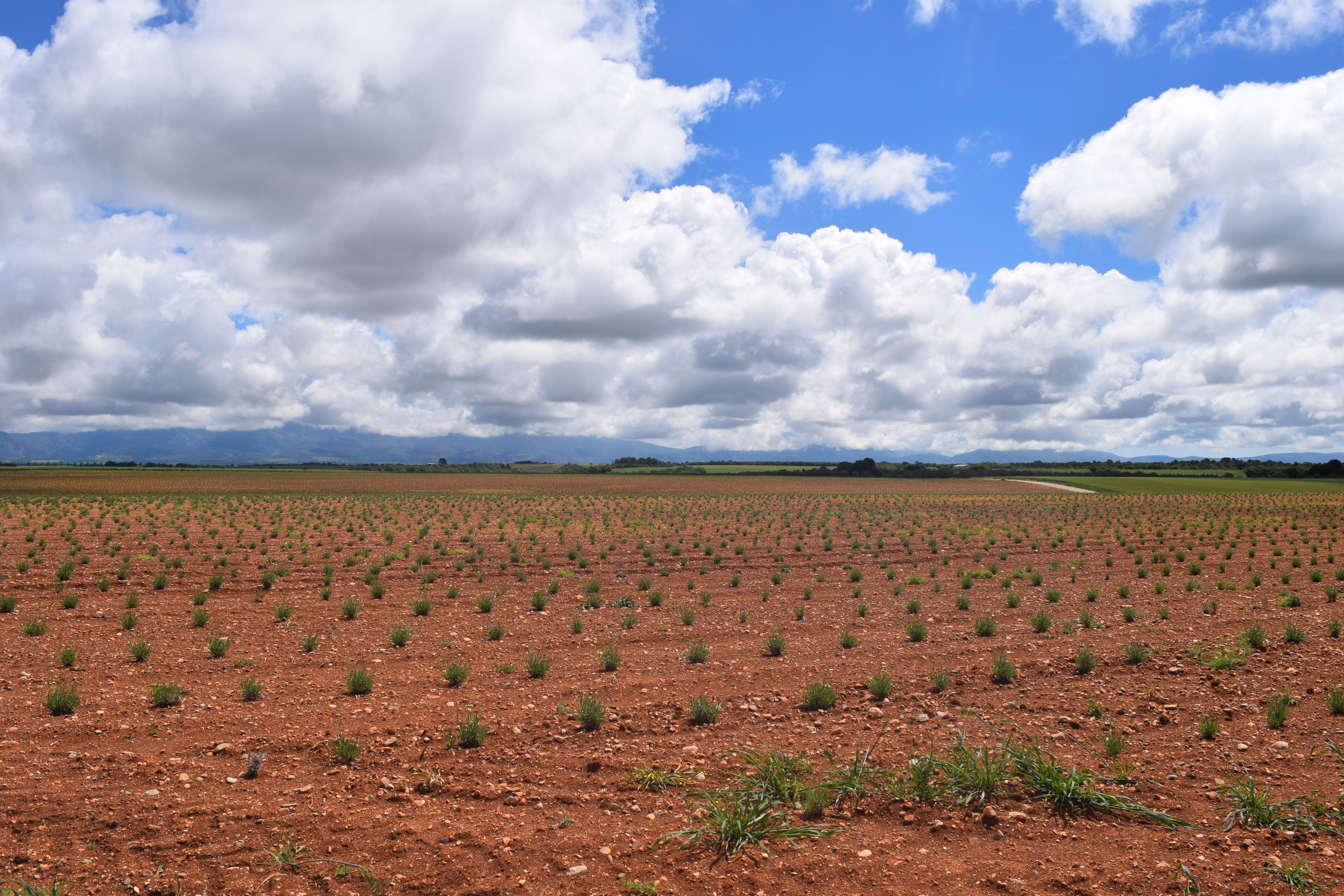 Free HTML5 Bootstrap Template by FREEHTML5.co