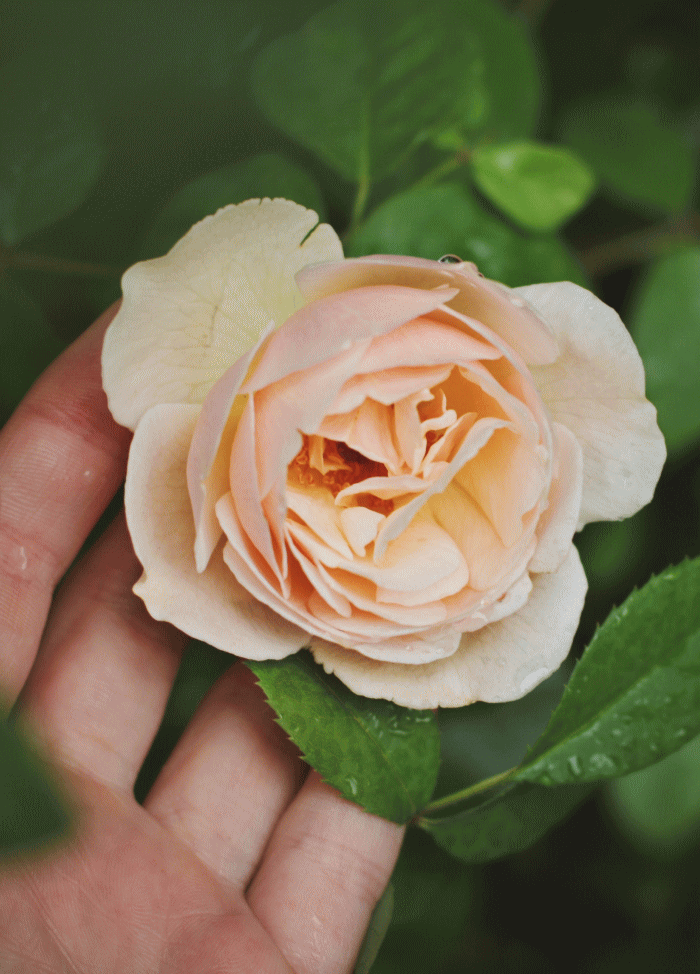 Free HTML5 Bootstrap Template by FREEHTML5.co