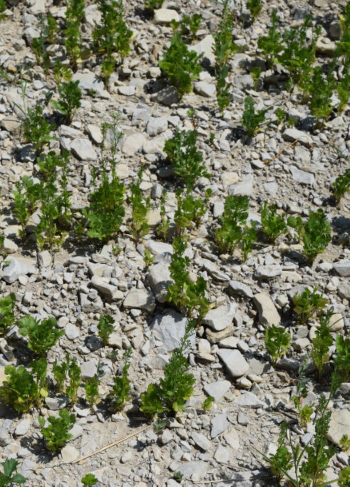 Free HTML5 Bootstrap Template by FREEHTML5.co